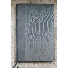 Quido Maria Vyskočil - Oloupený svět