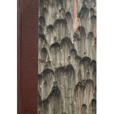 Matilda Serao - Choré srdce