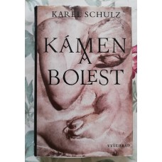 Karel Schulz - Kámen a bolest