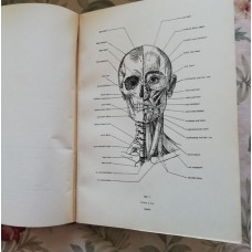 Vladimír Pukl - Příručka plastické anatomie lidského těla pro výtvarníky