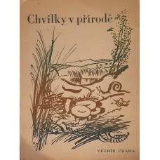 Kolektiv autorů - Chvilky v přírodě