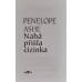 Penelope Ashe - Nahá přišla cizinka