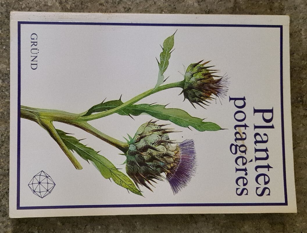 Eva Troníčková - Plantes potageres