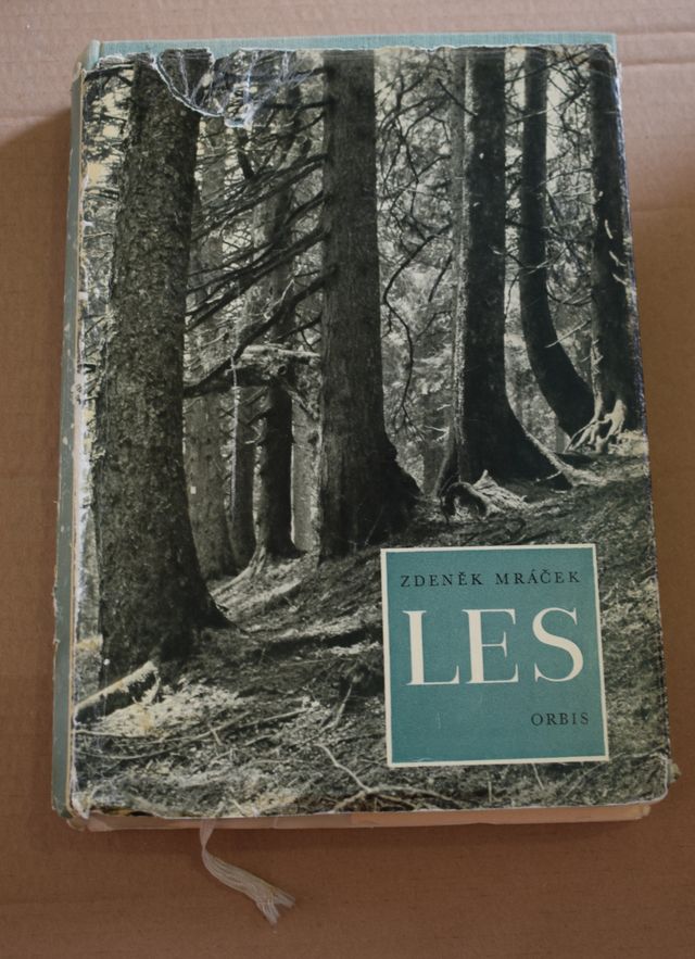 Zdeněk Mráček - Les